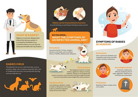 Prevent Rabies: 2024 List of Animal Bite Centers Near You .